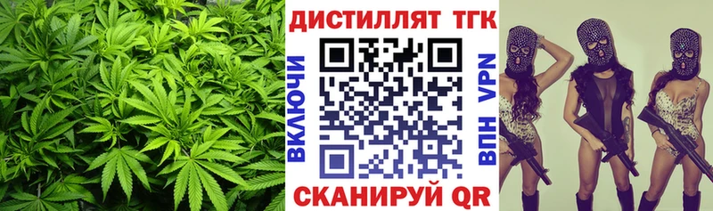 Дистиллят ТГК Wax  Пошехонье 