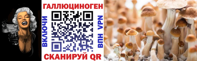 Псилоцибиновые грибы Cubensis Пошехонье